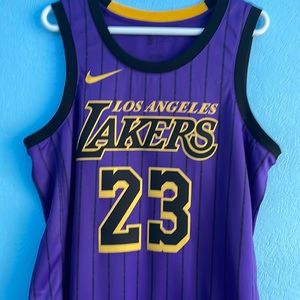 Lebron James Alternative 2019-20 Large Jersey